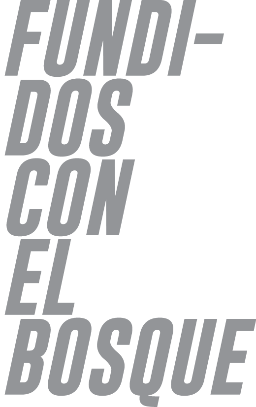 FUNDIDOS con el bosque