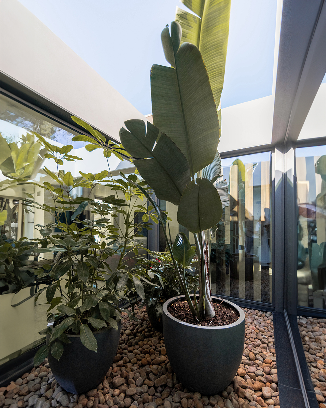 Vegetación y árboles dentro de un patio interior de una casa de lujo modular inHAUS