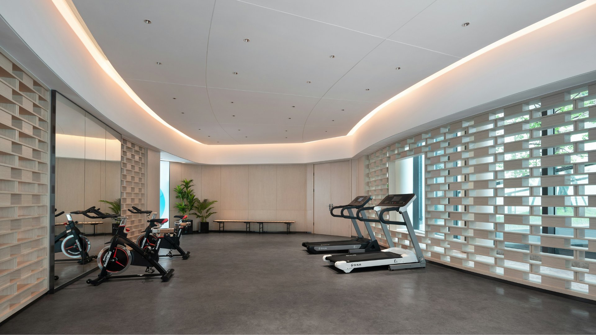 Gimnasio privado casa lujo